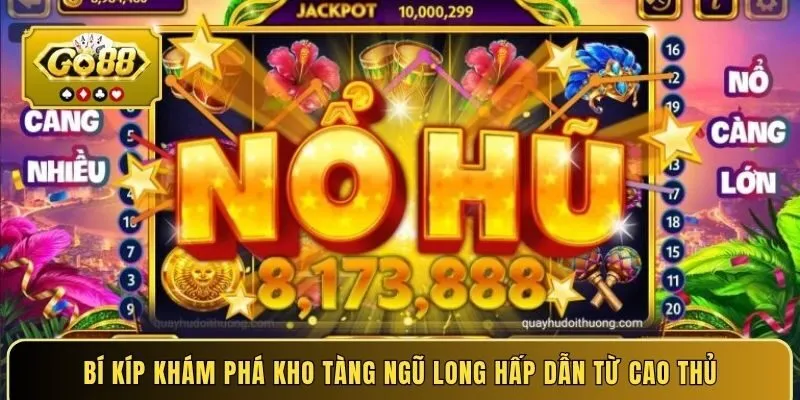 Bí kíp khám phá kho tàng ngũ long hấp dẫn từ cao thủ
