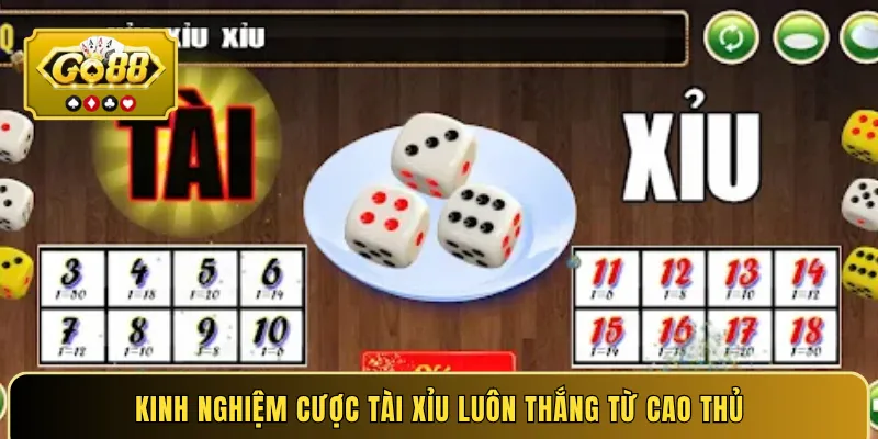 Kinh nghiệm cược Tài Xỉu luôn thắng từ cao thủ